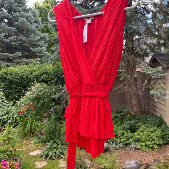 🎉HP🎉 BNWT H&M red hot sleeveless top - Picture 3 of 4